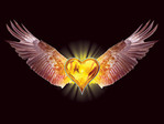Eagle_Heart[1]