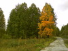 DSC00581