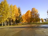 DSC00613