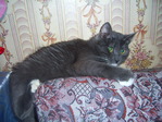 PIC_0ghmgm022