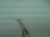 DSC01387