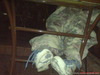 DSC01380