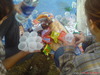 DSC01436
