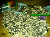 DSC01401