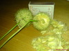 DSC01377