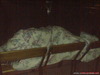 DSC01382