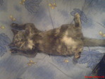 DSC01352