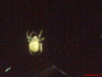 DSC01298
