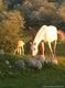 IMG-20130505-WA0006