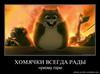 Хомяки!