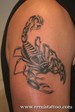 Skorpion_tattoo[1]