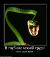 691524_v-glubine-vsyakoj-grudi