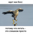 Кто так сможет!