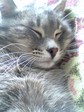 picture00004