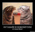 Безымянный2