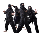 ninja7