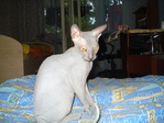 DSC09616