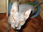 DSC09430