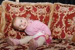 misha HB 115