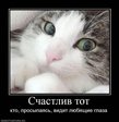 x_249dc0b7