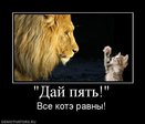x_0d6db7f8