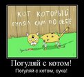 demotivatory_72