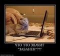 x_bf9dda34