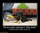 x_d34de059[1]