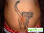 КОТИК