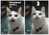 x_fb621a41