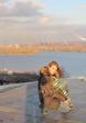Изображение 229