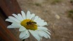 P1040574 [50%]