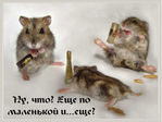 бухарики