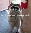 провокаторша