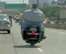 FAT MotherFucker