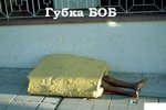 губка боб в  реале