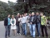 IMG016