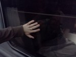 IMG029