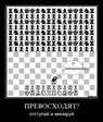 post-3-12501081146465