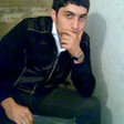 shekil3