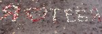 x_bc13a53e