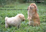 XQ1VhH5hDjMHZ7COOtzbQPgmlihNWnMYI5zsJcuKpw