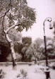 arza_bak_10