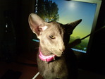 DSC00067