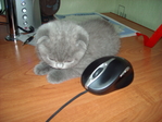 Клеопатра