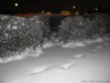 x_d889752d