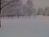 19022009506
