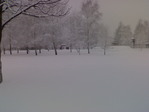 19022009506