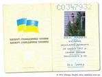 my pasport