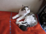 моя кисулячка